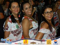 Bloco Unidos Pelo Samba